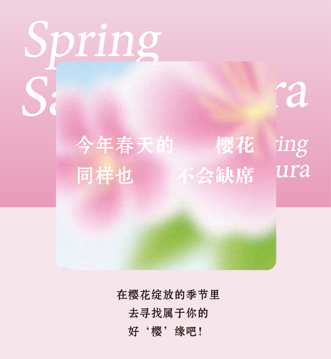 20240218-櫻花新品推文-04.png